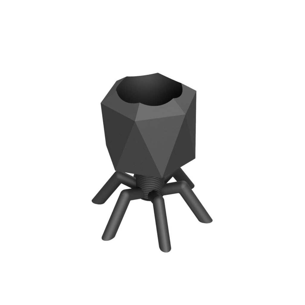 bakteriophage