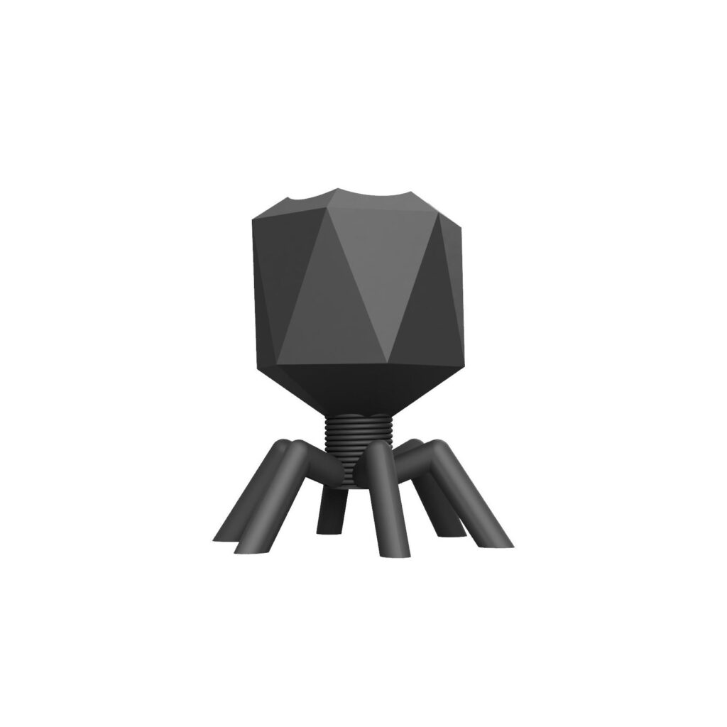 bakteriophage